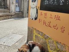 -猫岛主趣味餐厅(鼓浪屿店)