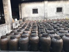 -乌镇东栅景区