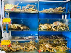 -蚝专家(北滘店)