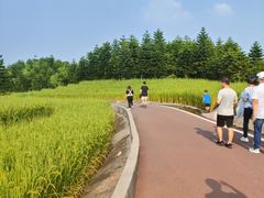 -迪茵湖田家舍生态农场