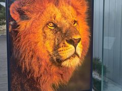 -罗红摄影艺术馆