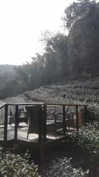 -尚圣月子会所·庄园式月子中心(萧山湘湖店)