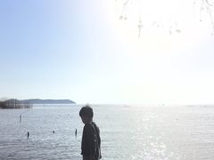 -苏州太湖国家湿地公园