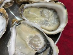 -冯姐生蚝(长隆横琴店)