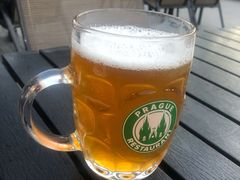 -布拉格餐厅· 中欧捷克菜(全国首店)