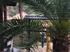 -咸宁万豪温泉谷度假区