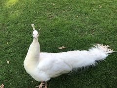 -昆明动物园