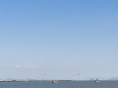 -大湾区中央湿地公园