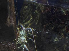 -海洋公园海洋列车－海滨站