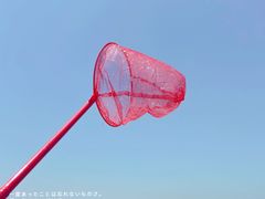 -奉贤海滩