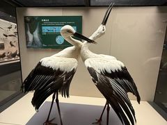 -天津自然博物馆