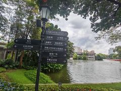 -荔湾湖公园