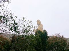 -紫竹林