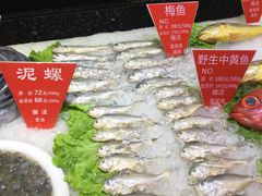 -宝燕壹号(徐汇店)