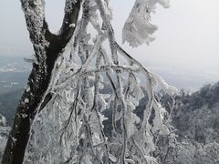 -紫金山山顶公园