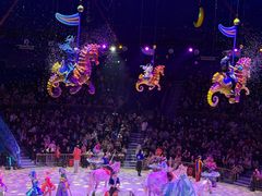 -海合安武汉极地海洋公园