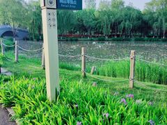-西安浐灞国家湿地公园
