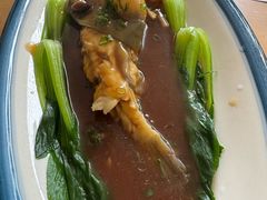 -天正河鲀·河豚亭(大连店)