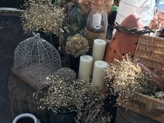 -北马山庄植趣咖啡