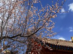 -西宁市东关清真大寺