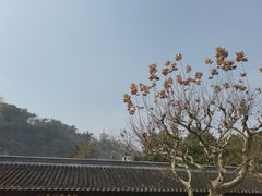 -狼山风景名胜区