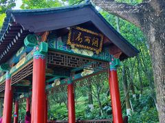 -洛龙公园
