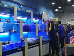 -老虎滩大连海鲜烧烤(建邺云锦路总店)