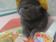 -瑞虹新天地月亮湾