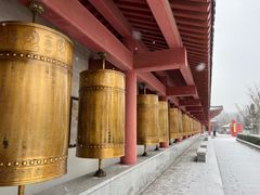 -龙口南山旅游景区