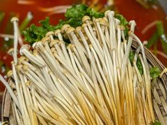 -王奋斗贵州酸汤牛肉火锅