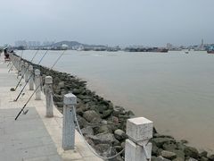 -海鸥岛