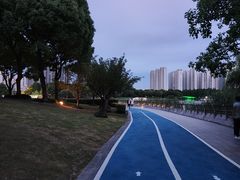 -南翔镇银翔湖公园