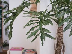 -Fruiffee Cafe 果啡派