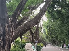 -南宁南湖公园
