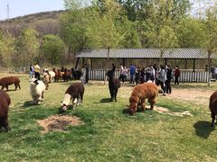 -大连铭湖国际观光牧场