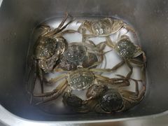 -蟹状元大闸蟹·年货·粽子(成都成华店)