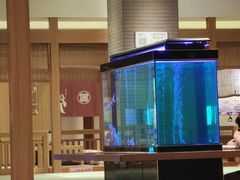 -大江户·温泉洗浴(浑南店)