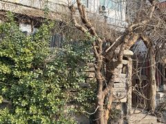 -斯多格书乡(北京大学畅春园店)