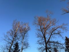 -长白山万达喜来登度假酒店