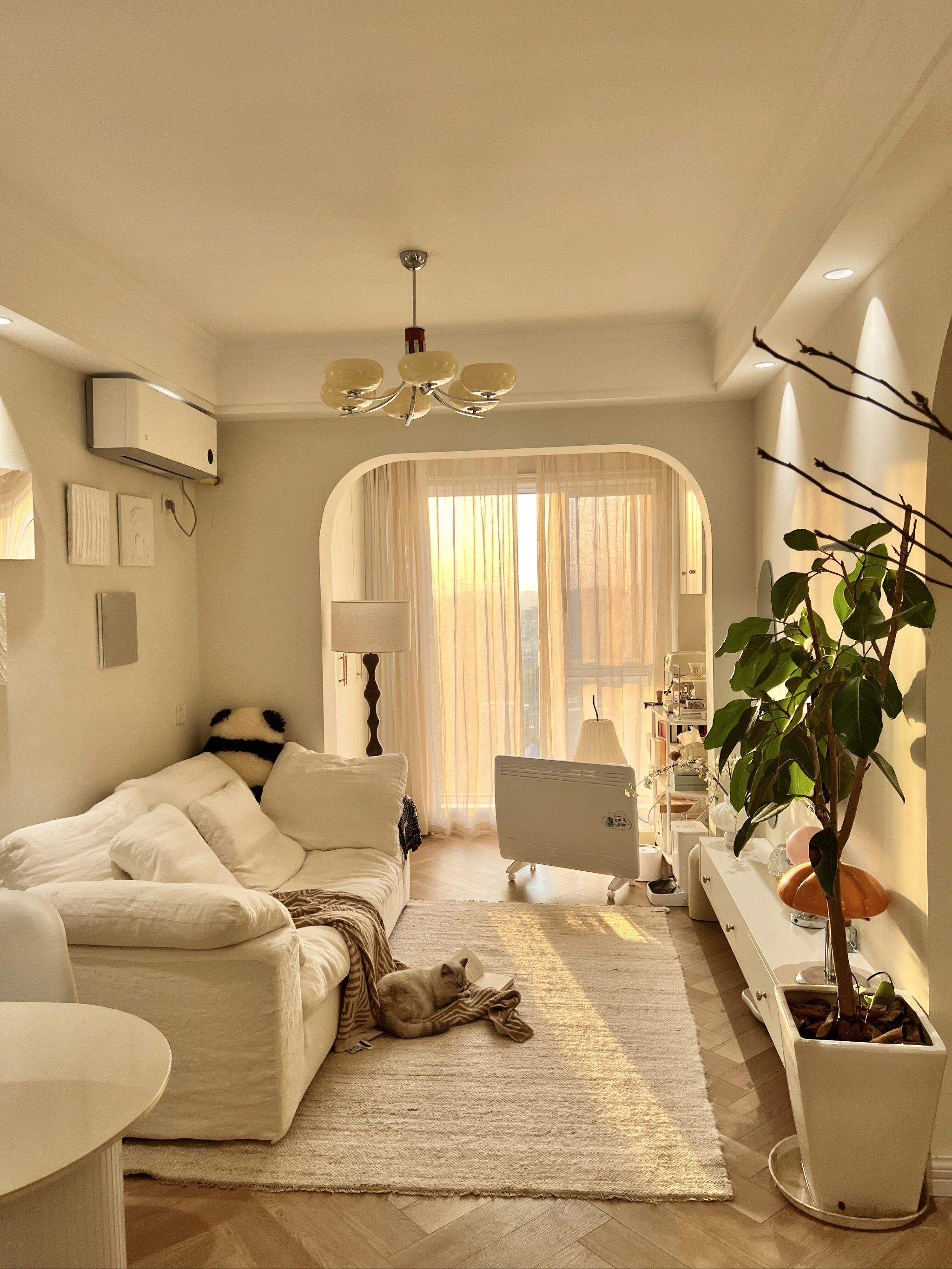 🏠【37平温暖小家,与小猫共度寒冬❄️】