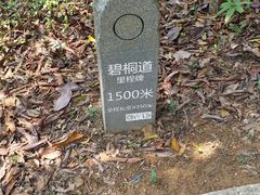 -梧桐山风景名胜区