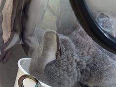 -美联众合动物医院·24h转诊中心