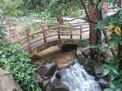 -火炉山森林公园