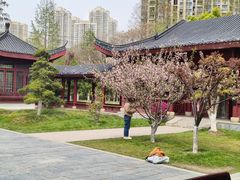 -堤角公园