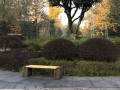 -重庆彩云湖湿地公园