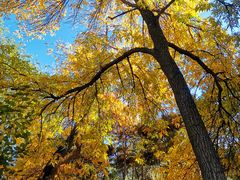 -元大都城垣遗址公园