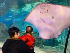 -太平洋海底世界