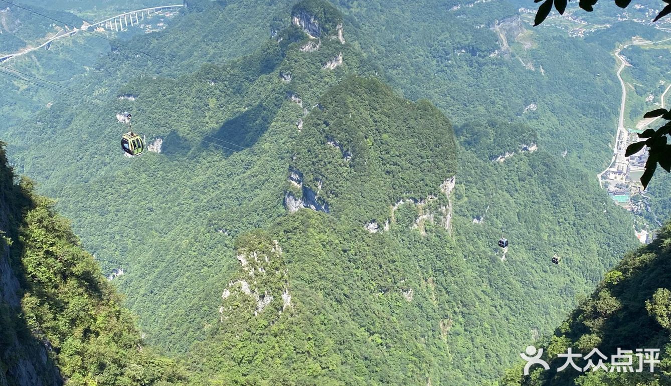 简直就是大型森林游乐场