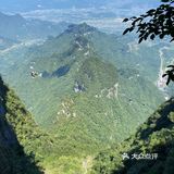 简直就是大型森林游乐场