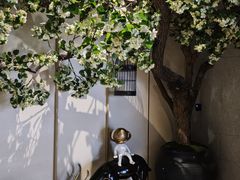 -东吴水韵(吴中店)